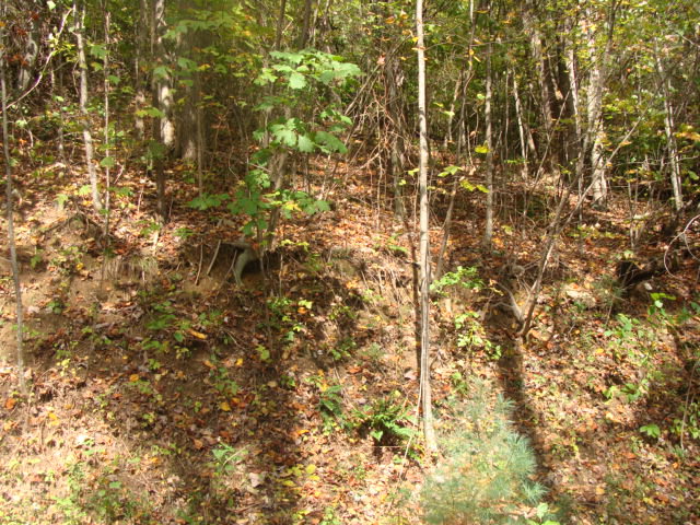 Tbd Old Wagon Trail Property Photo