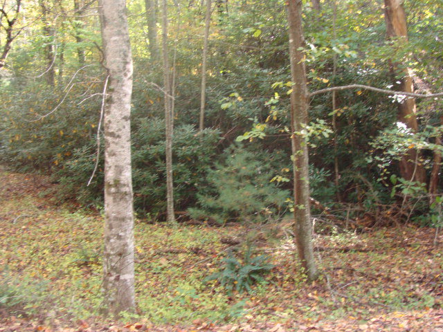 Tbd Beaver Trail Property Photo