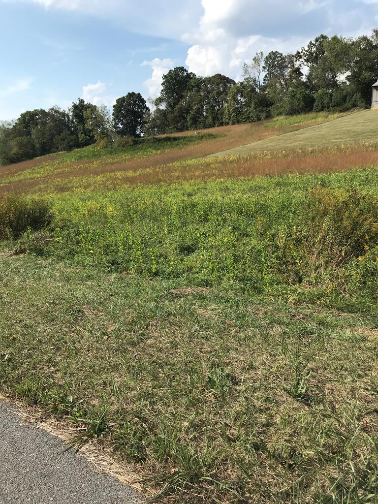 Tbd Lot #29 Chestnutwood Drive Property Photo