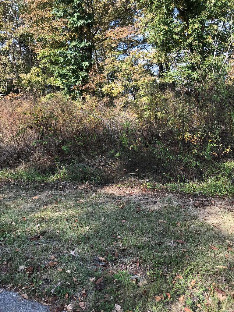 Tbd Lot #11 Elem Drive Property Photo