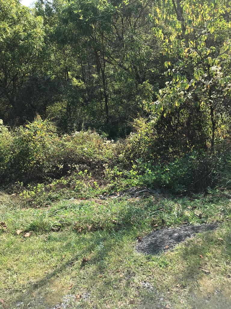 Tbd Lot#9 Elem Drive Property Photo