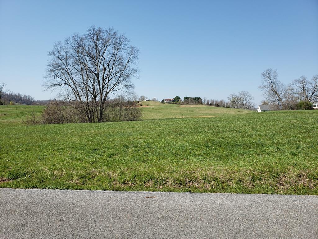 Tbd Musick Drive Property Photo
