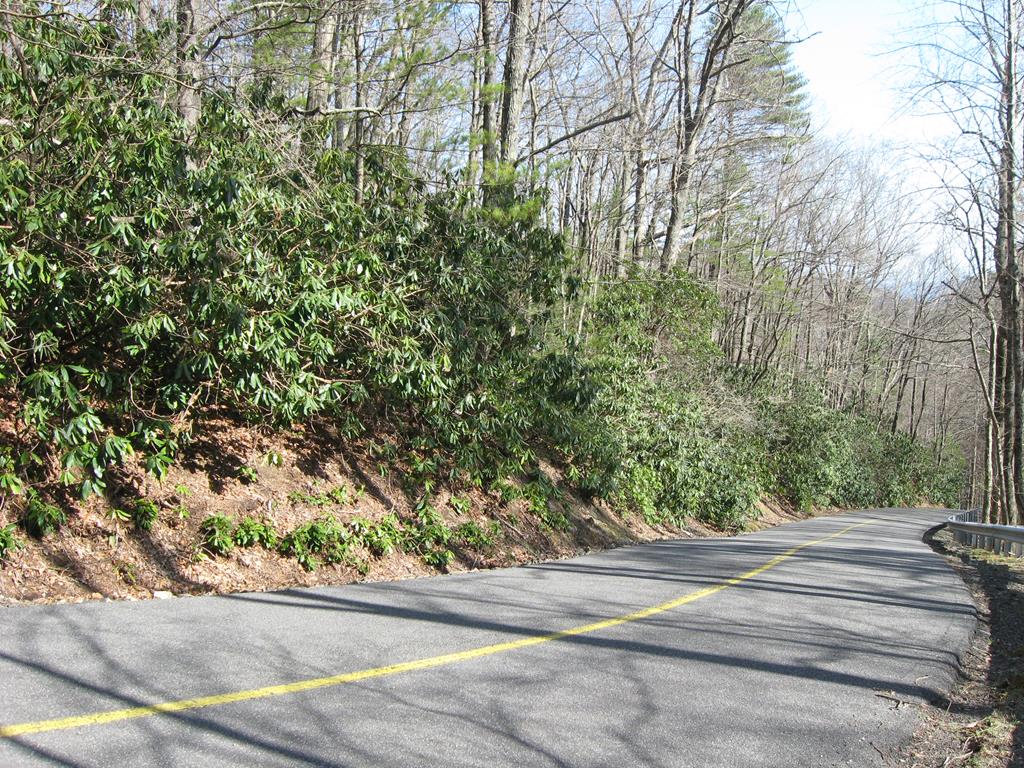 Tbd Cascade Trail Property Photo 1