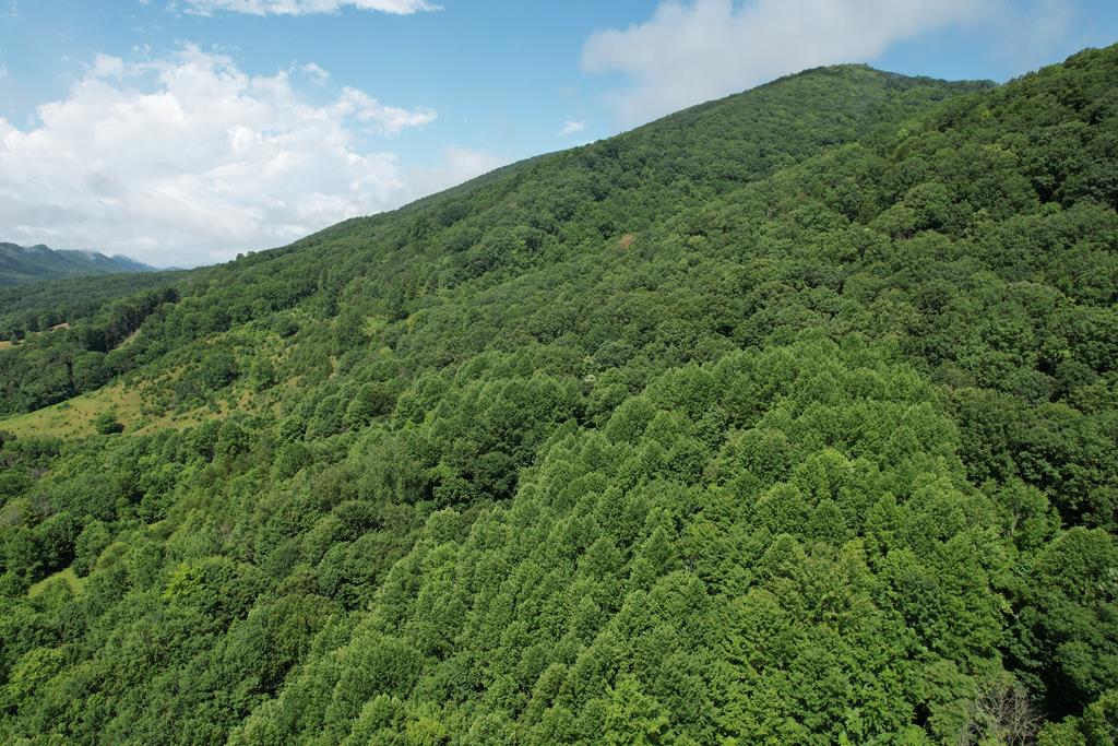 Tbd Allison Gap Road Property Photo