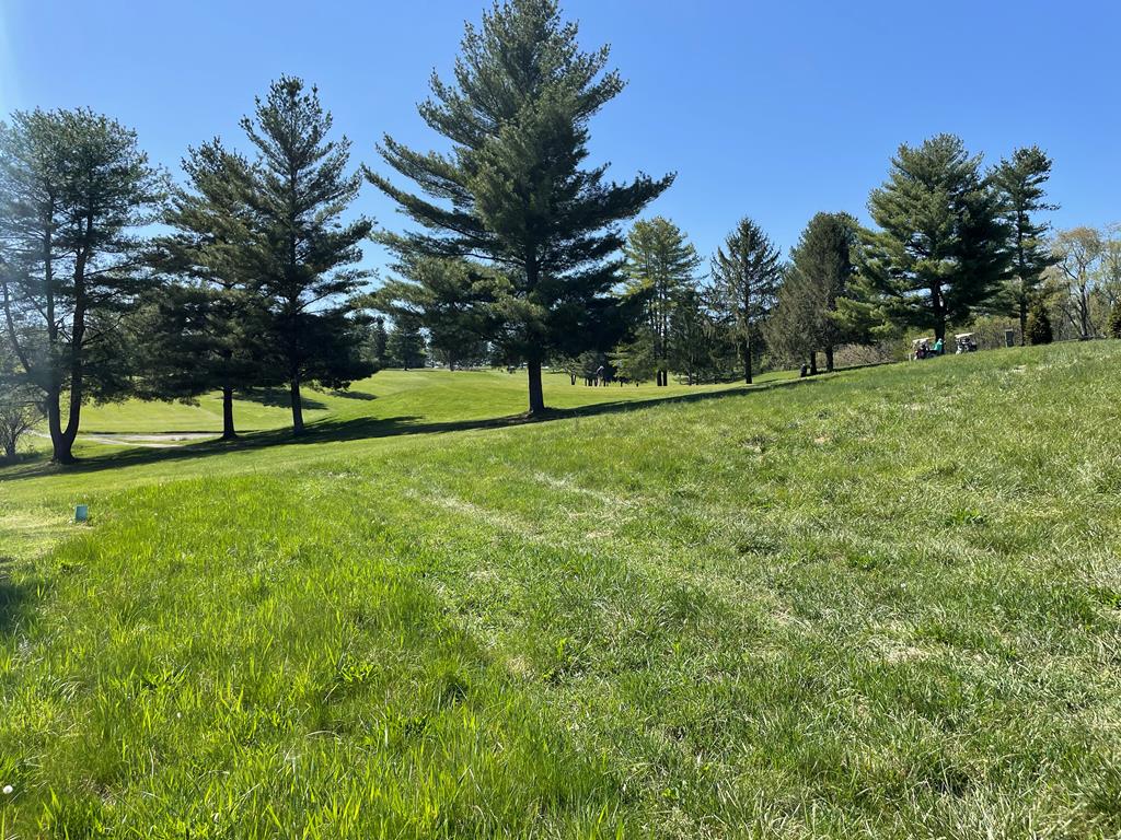 Tbd Old Stage Rd Property Photo