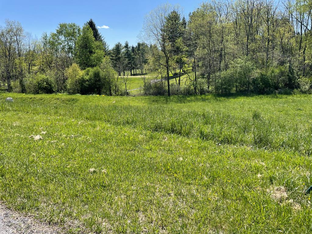 Tbd Caroline Circle Property Photo