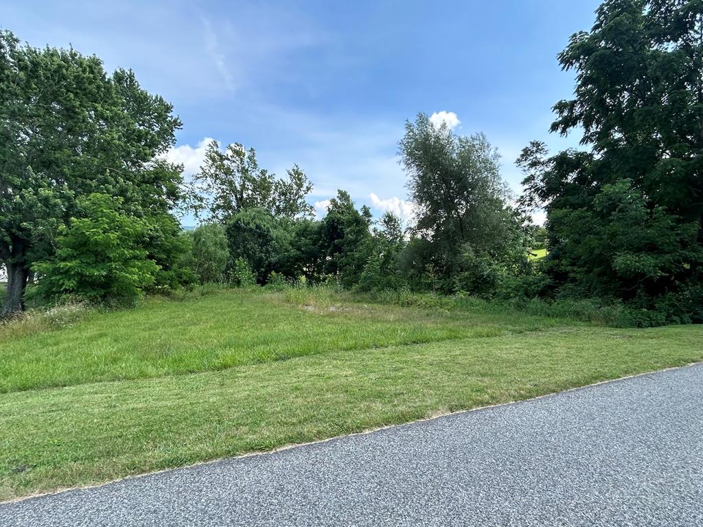 .52 Ac W North St Property Photo 1