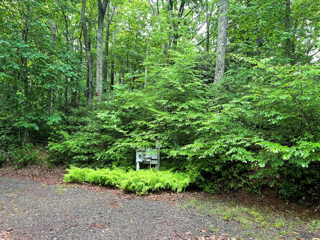 Tbd Forest Park Lane Property Photo