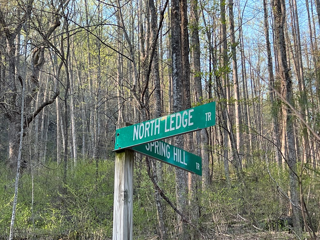 Tbd North Ledge Trail Property Photo 1