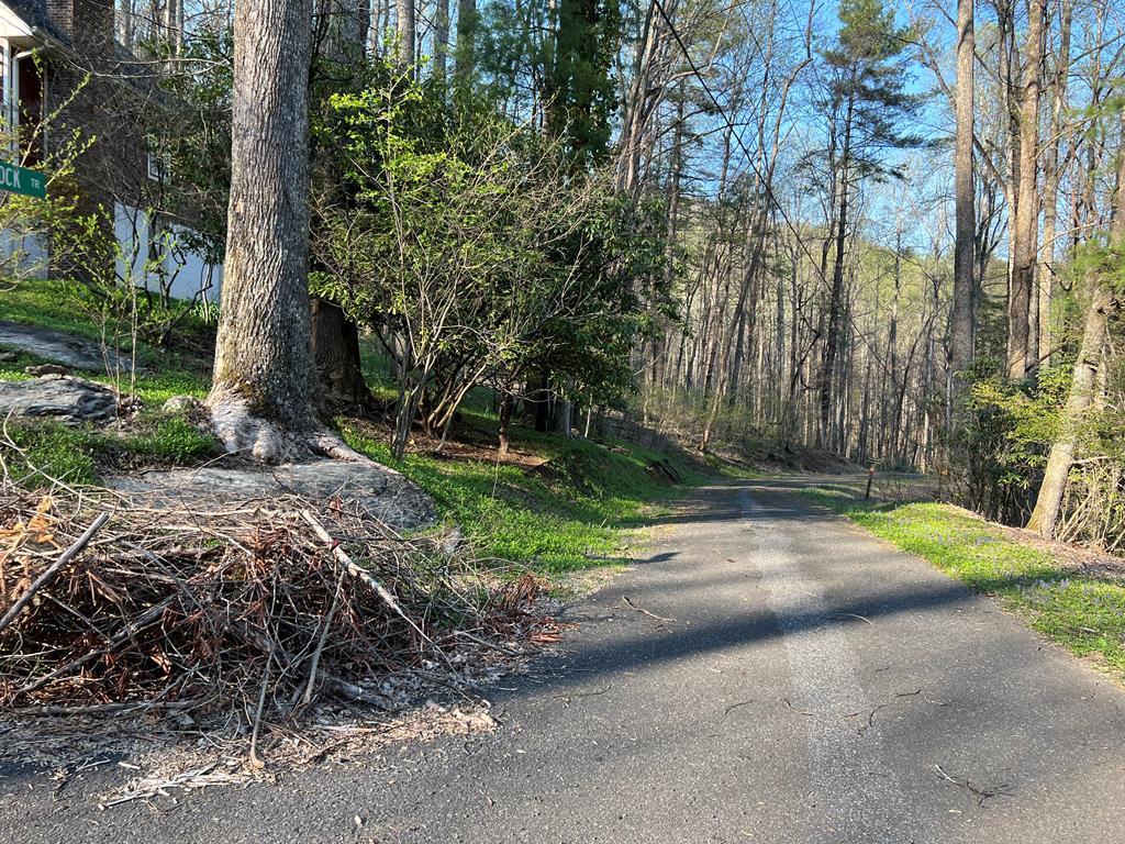 Tbd Briar Rock Trail Property Photo 1