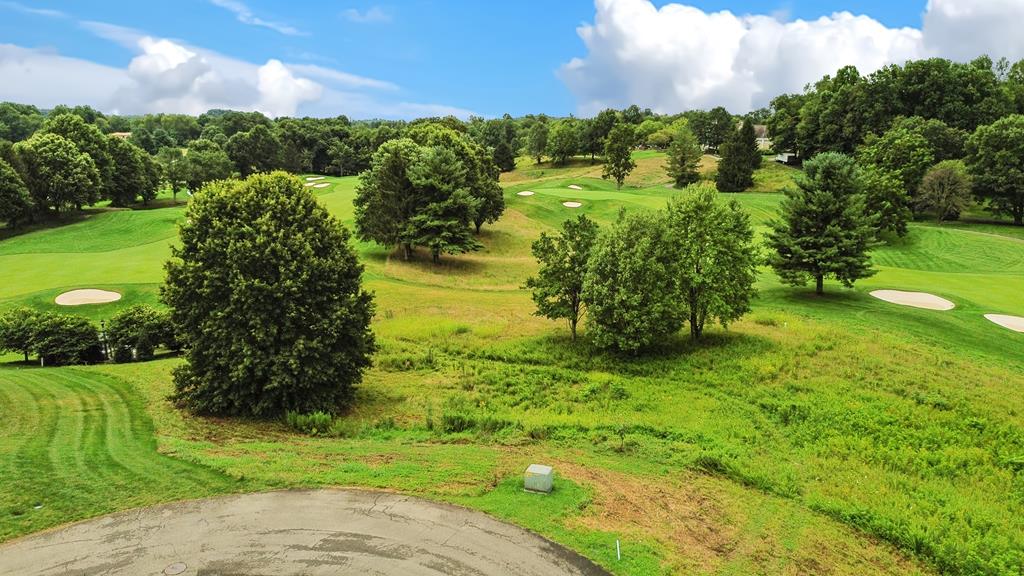 Tbd Exclamation Point Unit # Lot 185 Property Photo