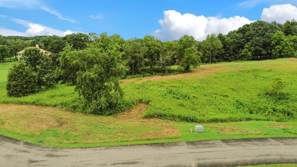Tbd Exclamation Point Unit # Lot 187 Property Photo