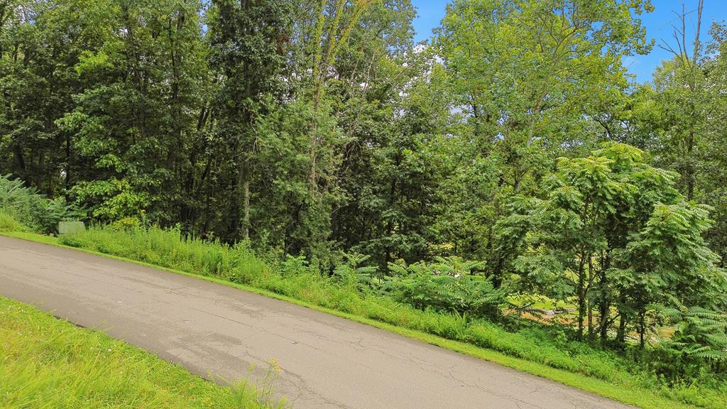 Tbd Washington Way Unit # Lot 202 Property Photo