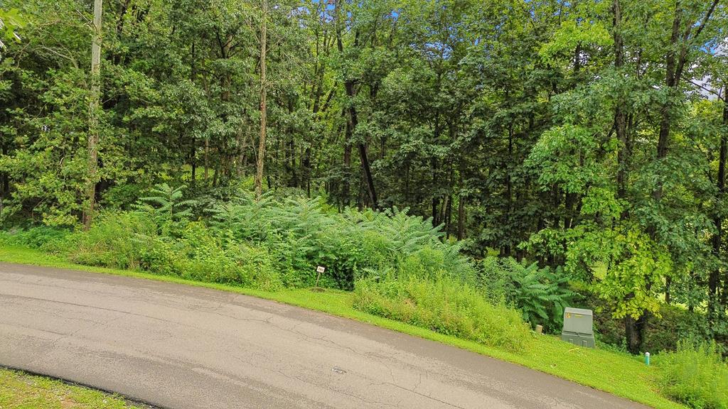 Tbd Washington Way Unit # Lot 203 Property Photo