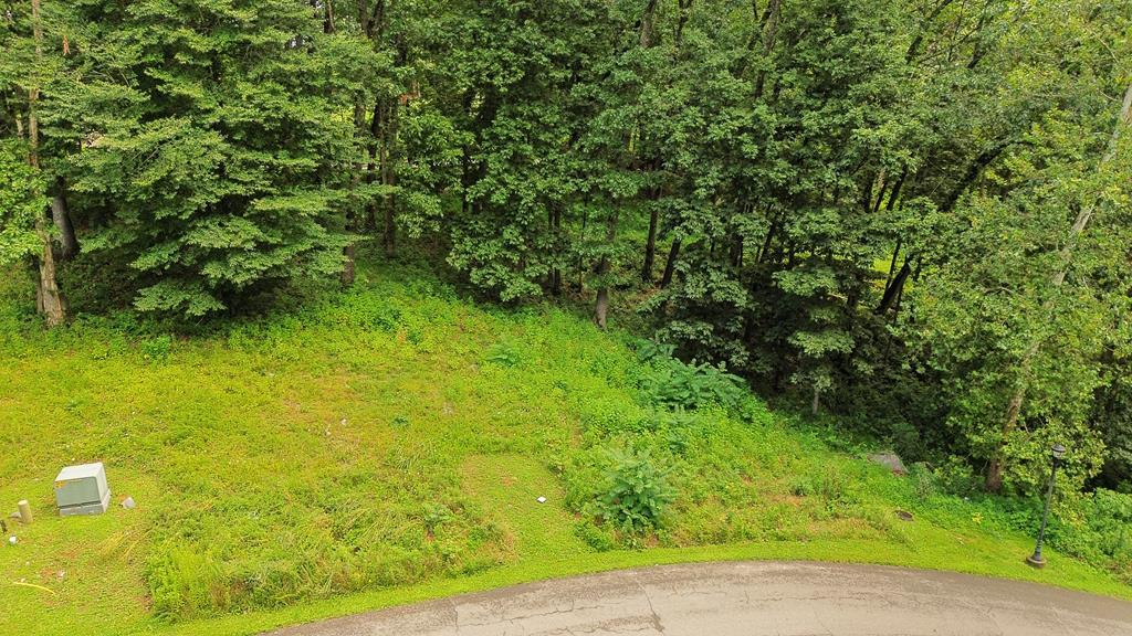 Tbd Washington Way Unit # Lot 204 Property Photo