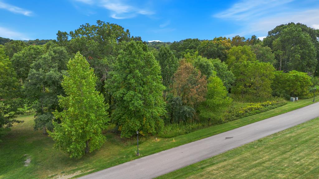Tbd Washington Way Lot #198 Property Photo