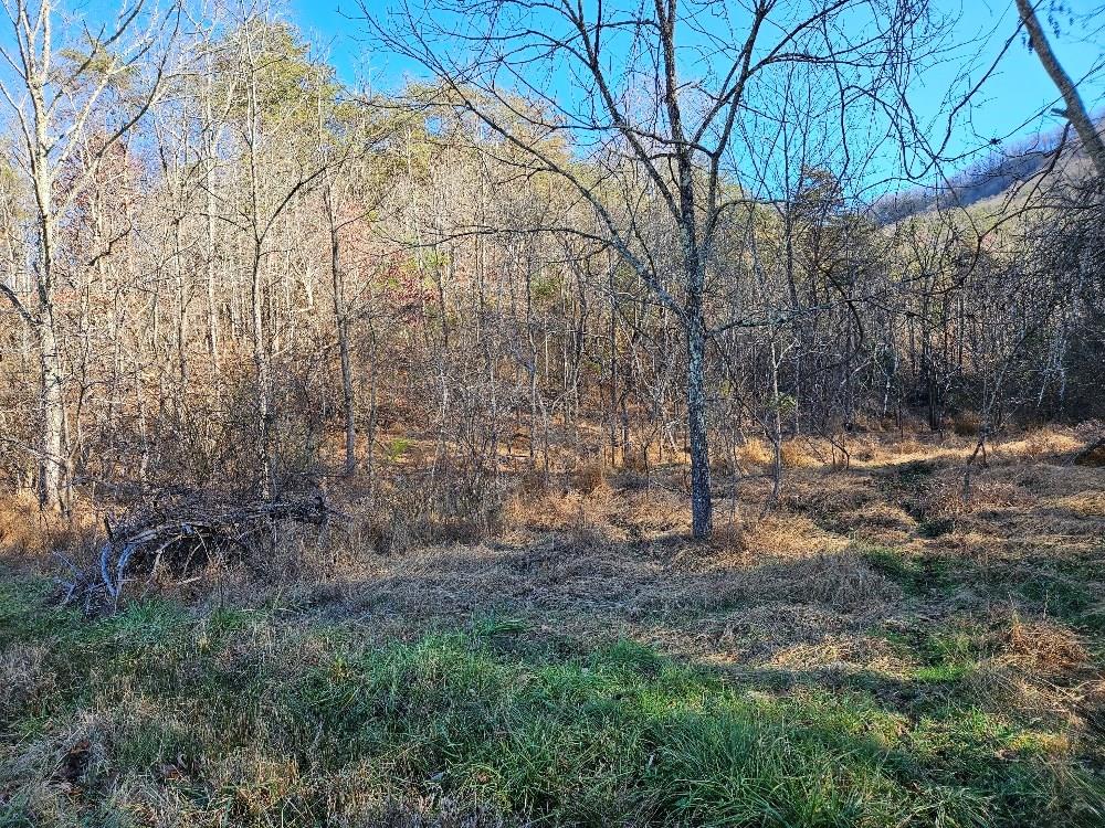 Tbd Cleghorn Valley Rd Property Photo