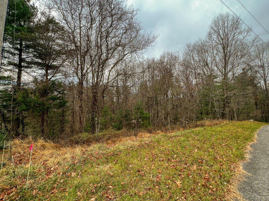 Lot 115 Old Hollow Trail Property Photo