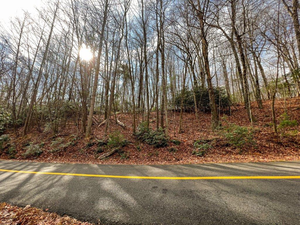 Lot 45 Southern View Trail Property Photo