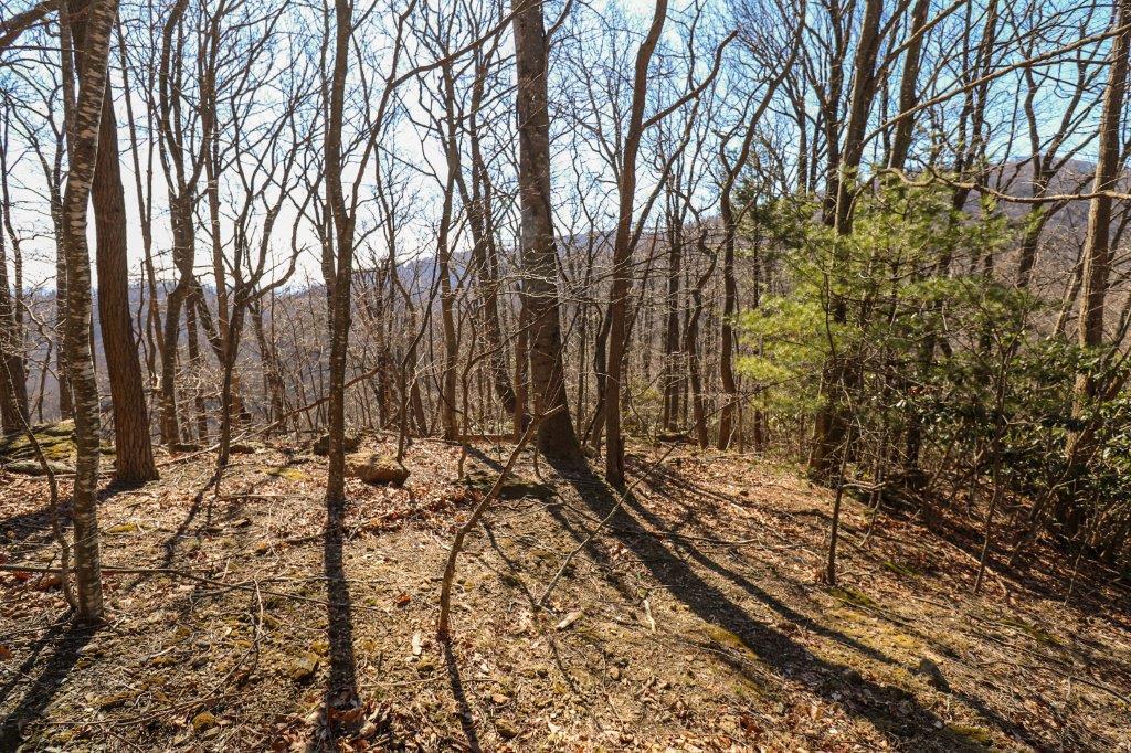 Lot 75 Black Gum Trail Property Photo