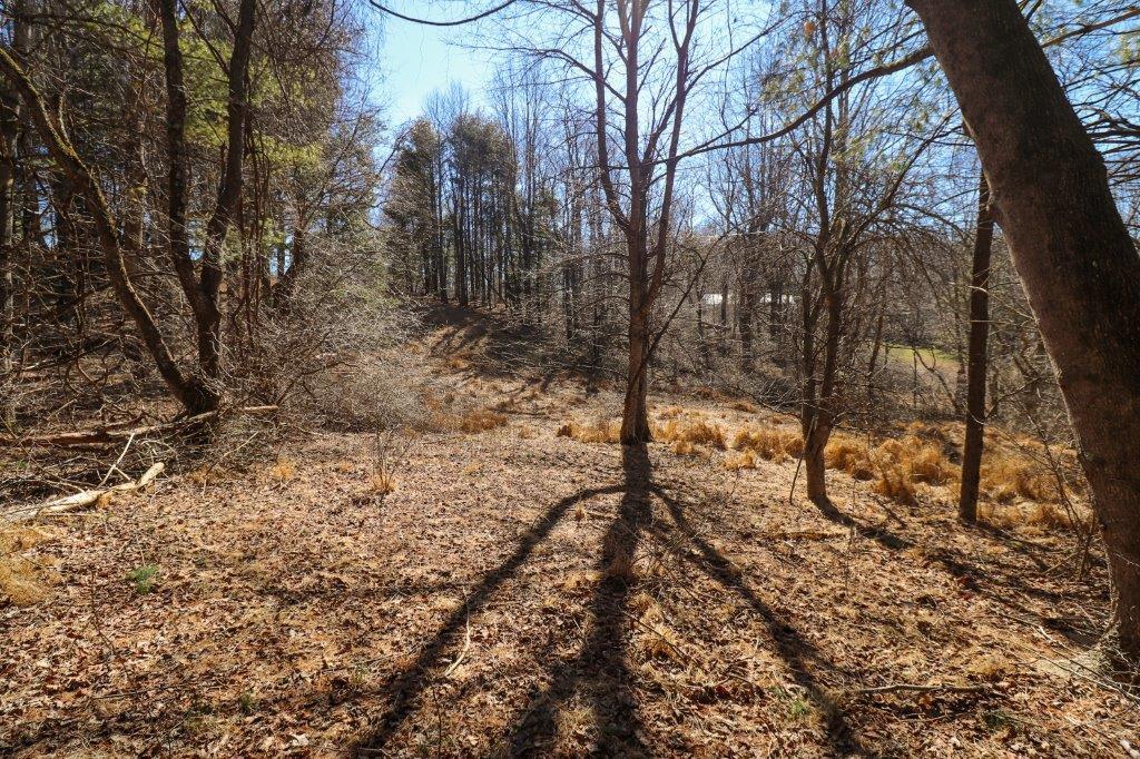 Lot 65 Southern View Trail Property Photo