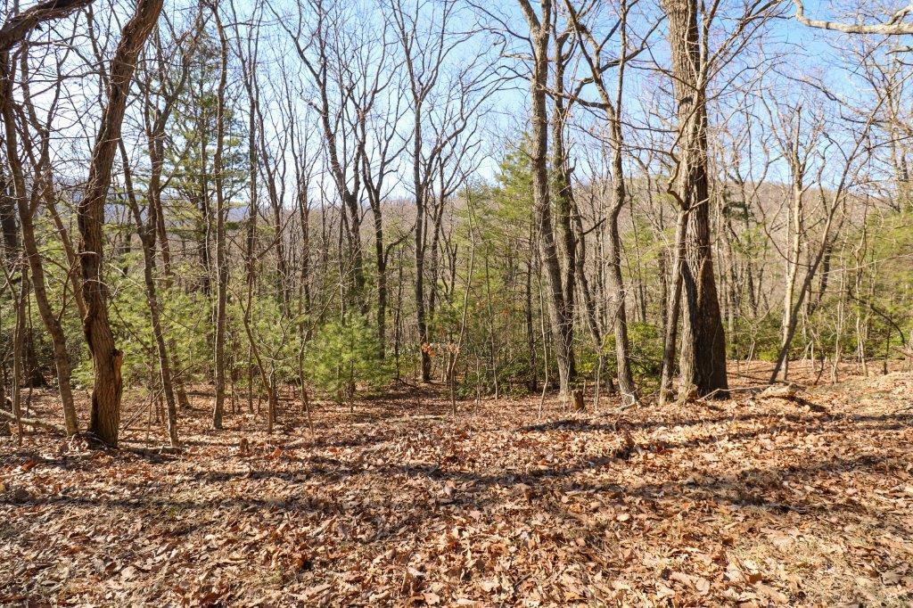 C11-c12 Little Ridge Trail Property Photo