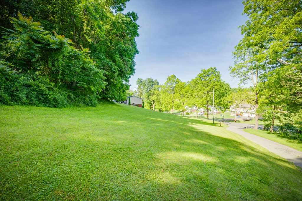 Tbd Wallace Pike Property Photo 3