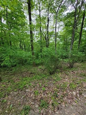 Tbd Shawnee Trail Property Photo 2