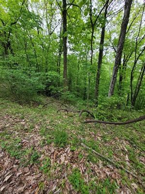 Tbd Shawnee Trail Property Photo 3