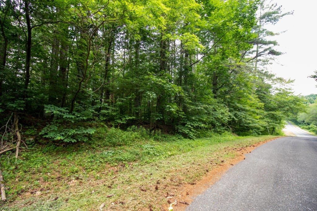 Lot 28 Manor House Dr Property Photo 2