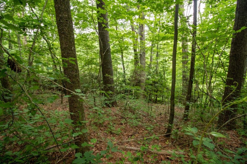 Lot 28 Manor House Dr Property Photo 6