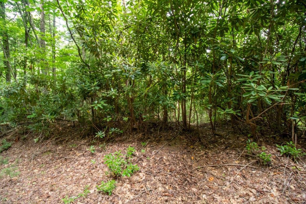 Lot F9 Fariss Trail Property Photo