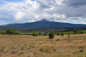 Tbd Gurley Lake Drive Property Photo 4