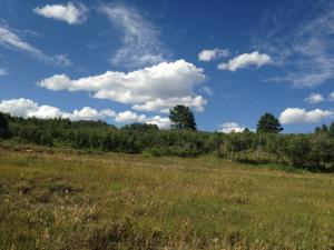Tbd Gurley Lake Drive Property Photo 5