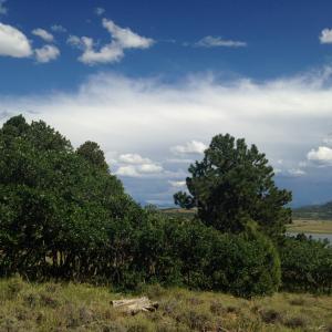 Tbd Gurley Lake Drive Property Photo 6