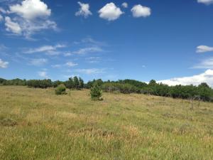 Tbd Gurley Lake Drive Property Photo 7