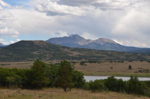 Tbd Gurley Lake Drive Property Photo 11