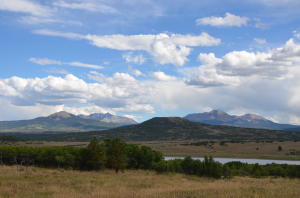 Tbd Gurley Lake Drive Property Photo 19
