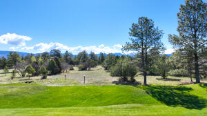 Lot 212 Marmot Property Photo 1