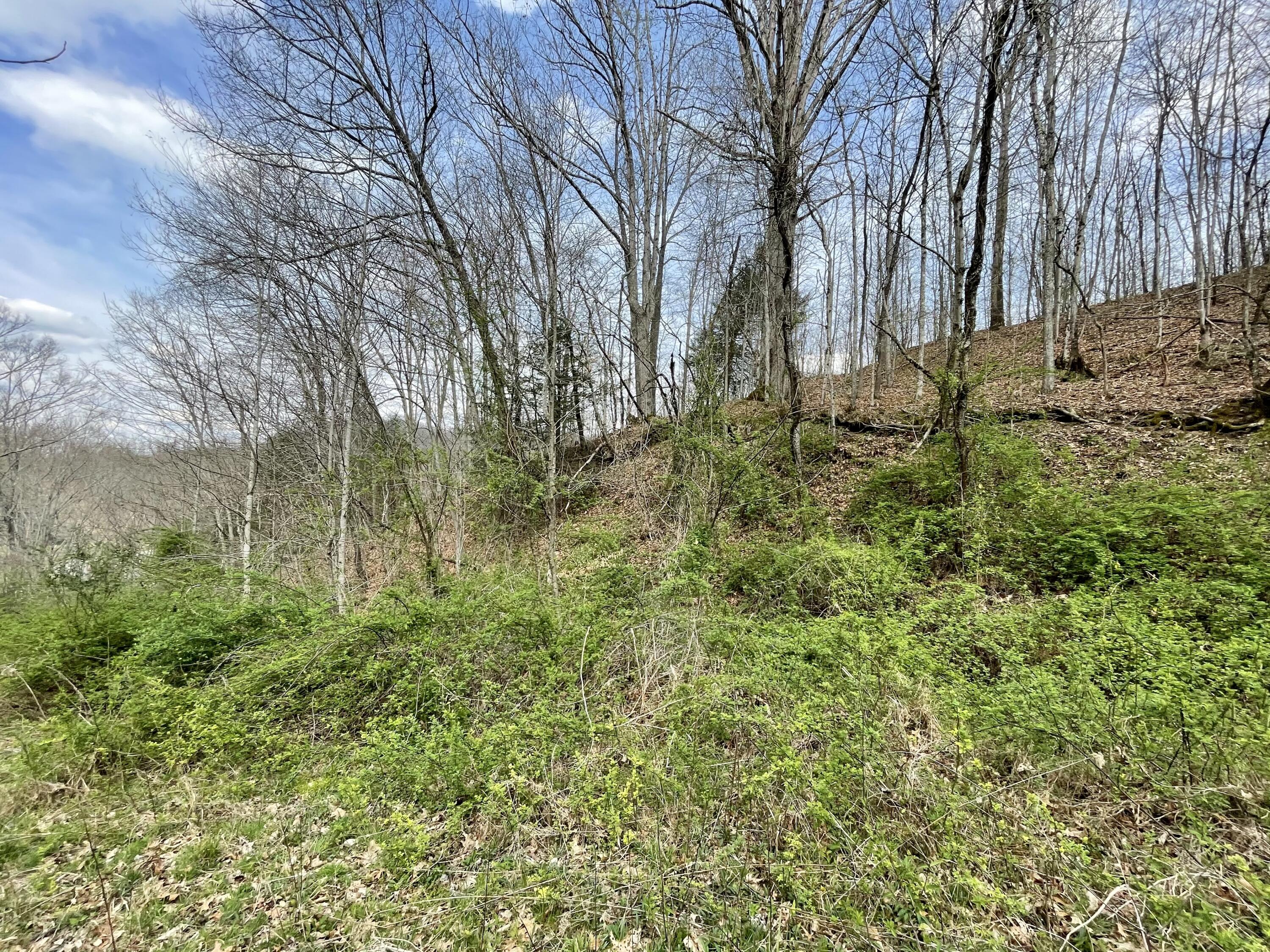 Tbd Orby Cantrell Highway Property Photo 1