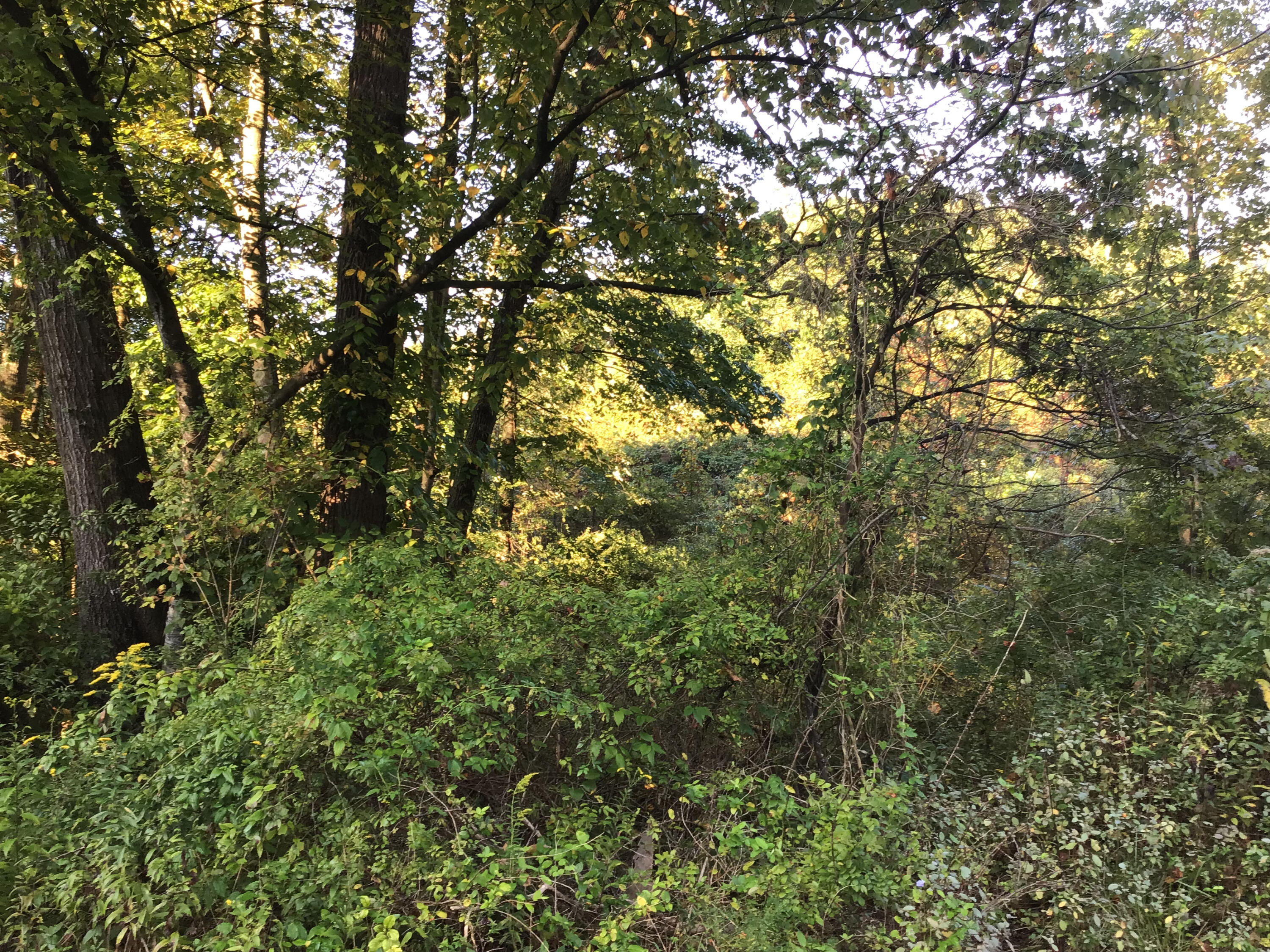 Tbd South Us Hwy 23 Property Photo 1