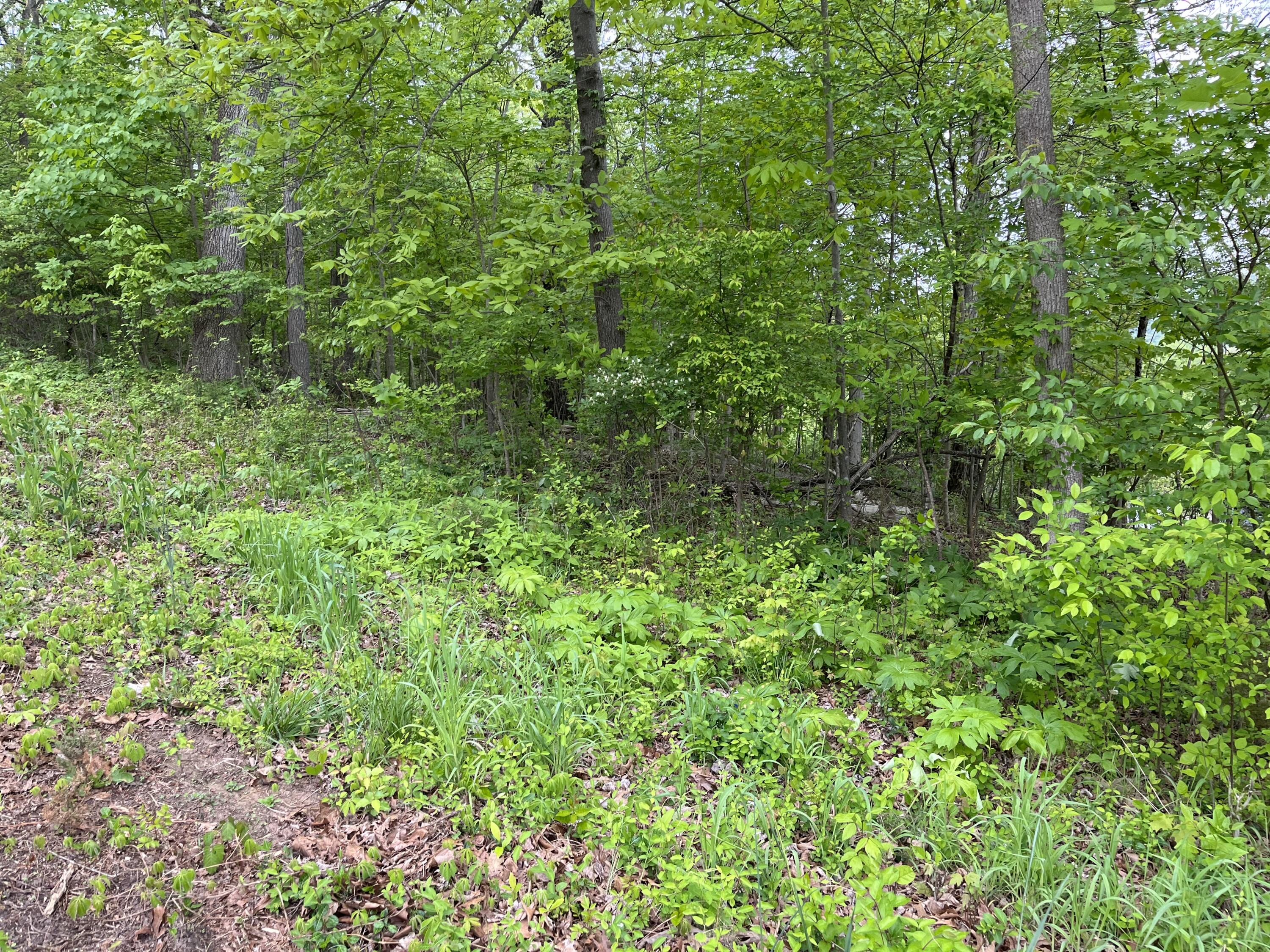 Tbd Lone Oak Dr Property Photo