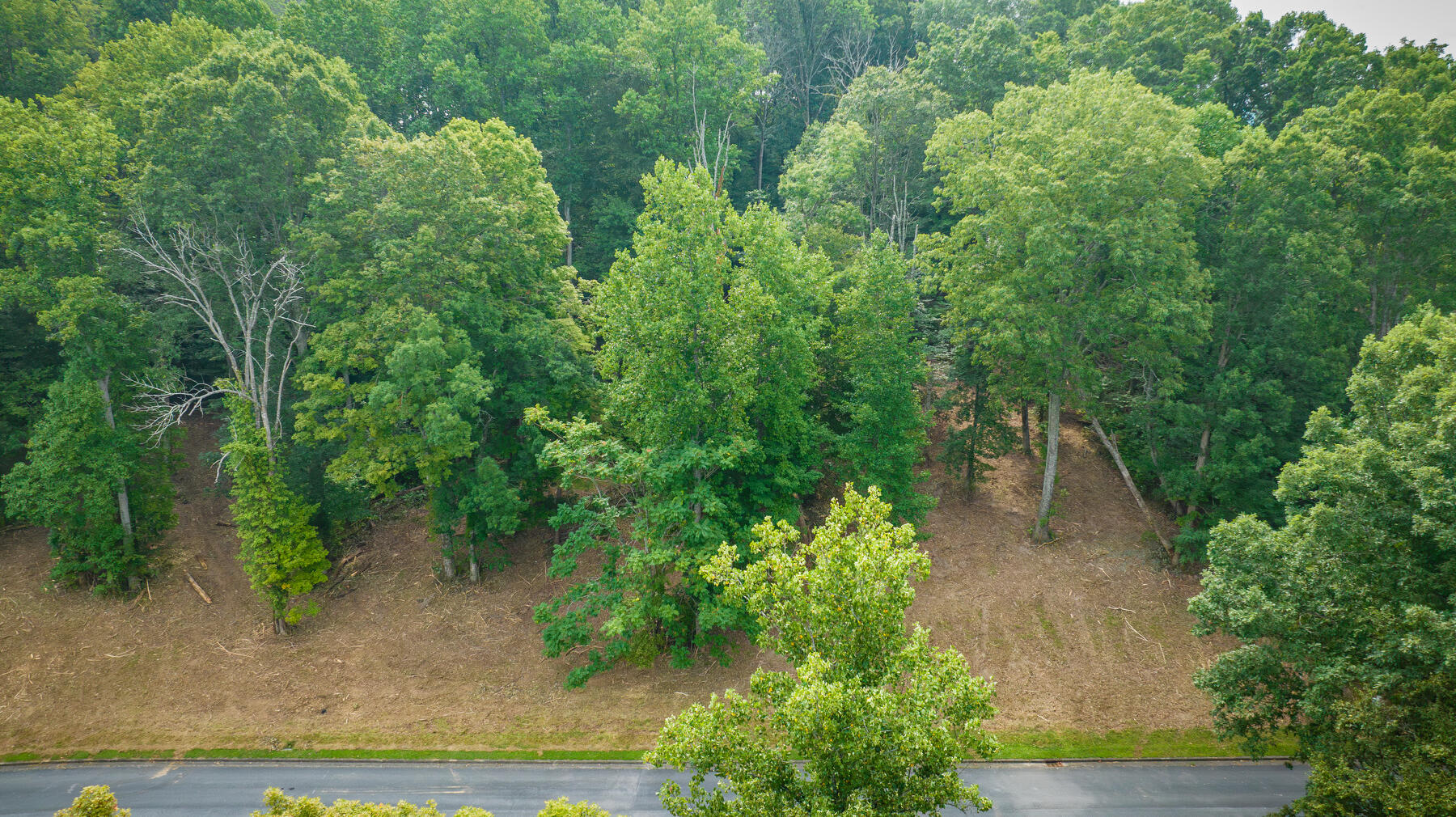 Lot 37 Chimney Top Lane Property Photo