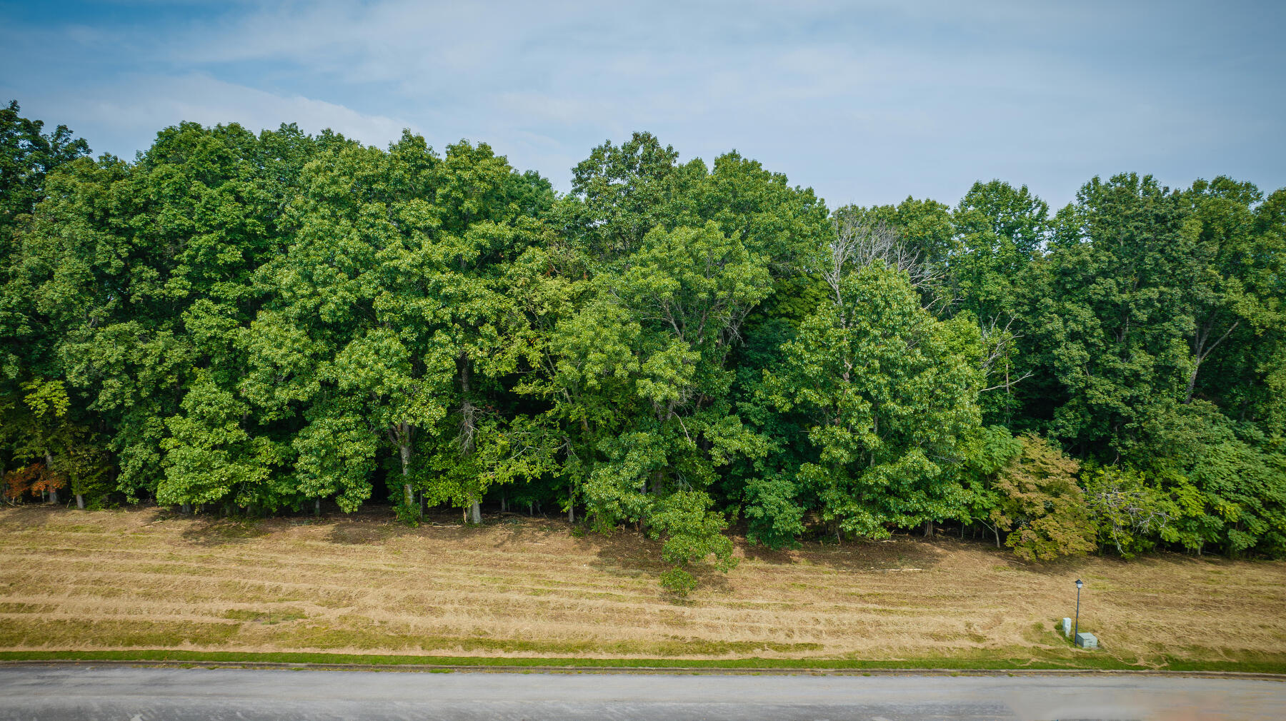 Lot 42 Chimney Top Lane Property Photo