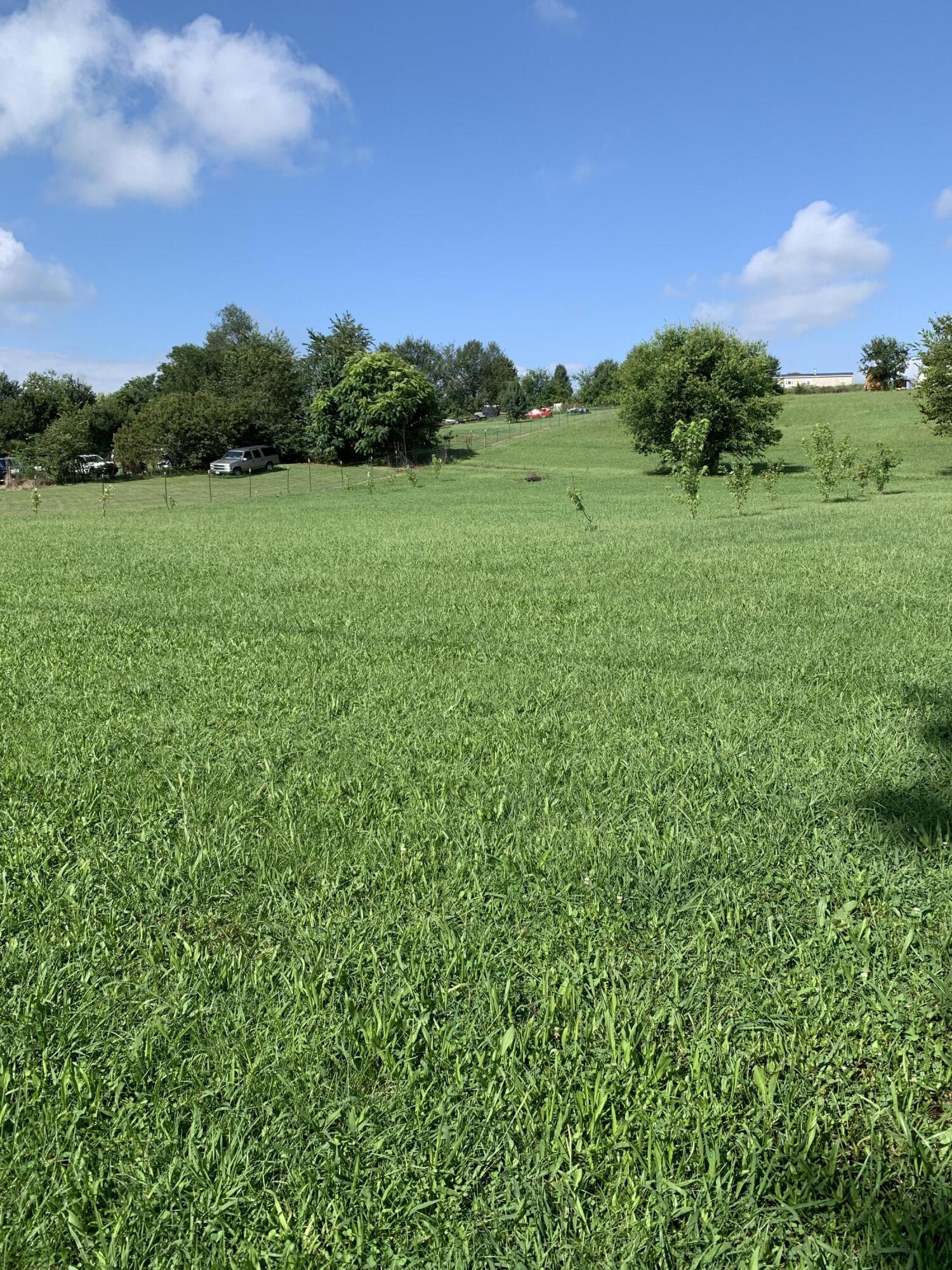 Tbd Chuckey Pike Property Photo