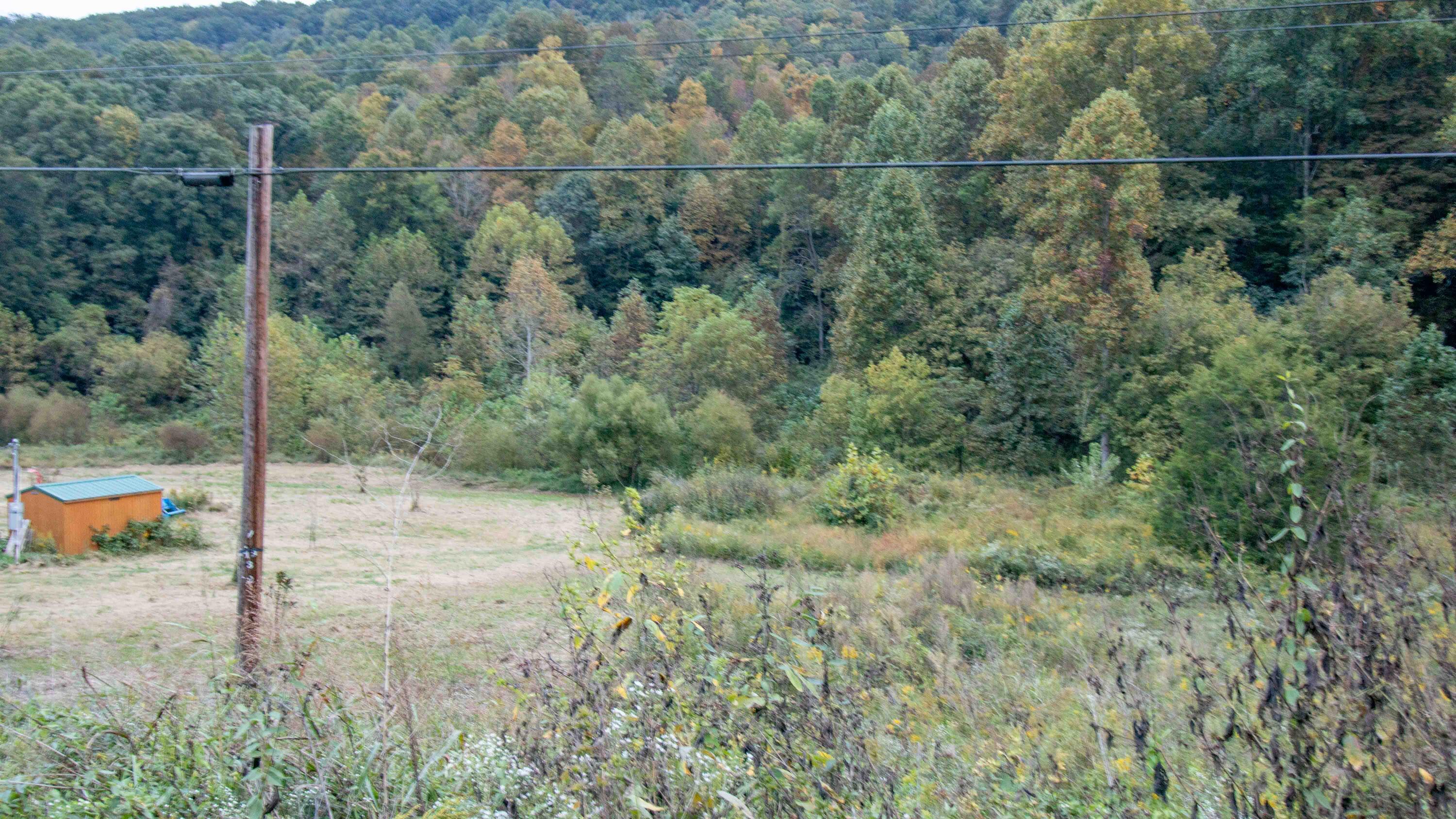 377 Butcher Valley Road Property Photo 14