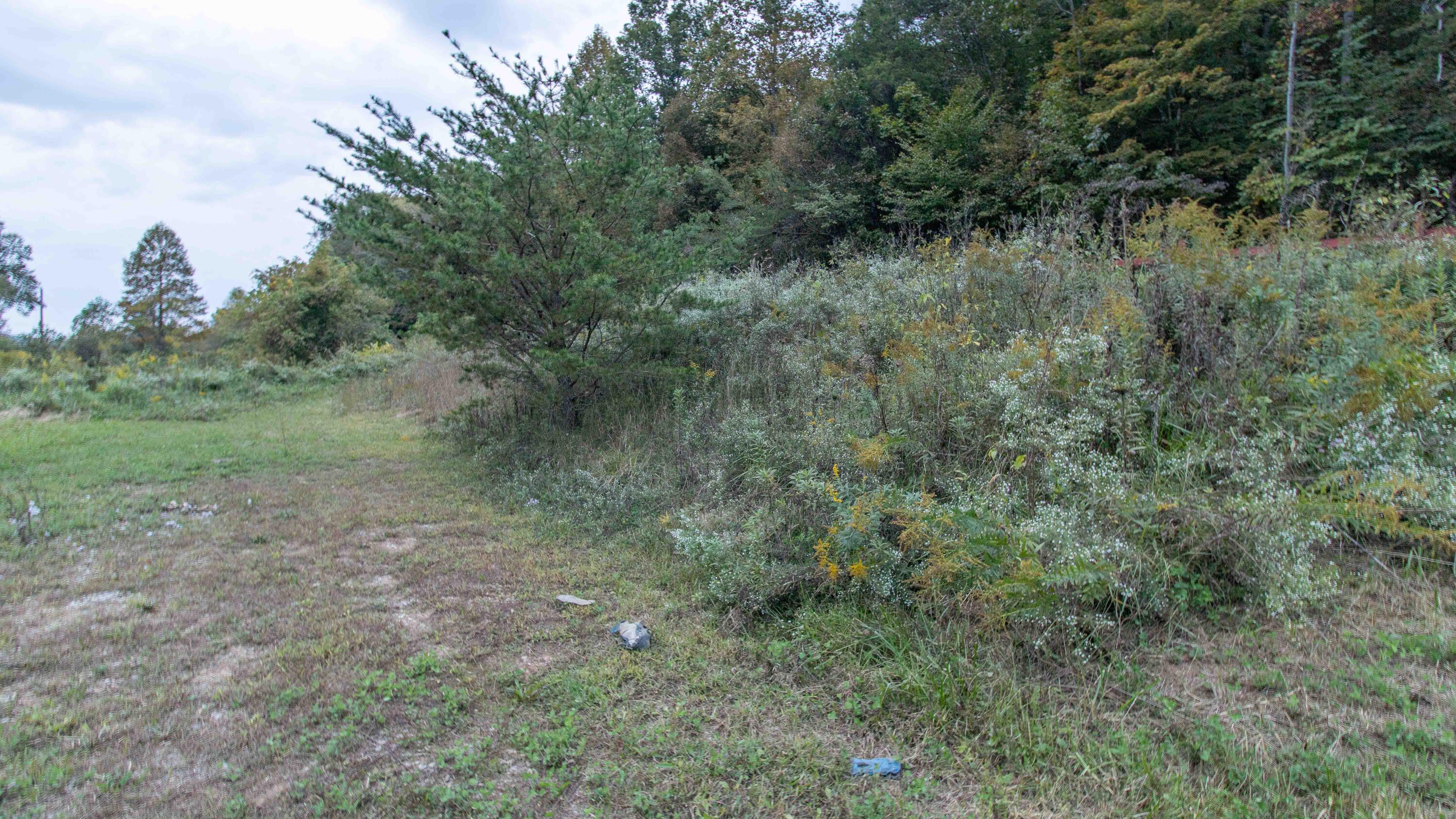 377 Butcher Valley Road Property Photo 16