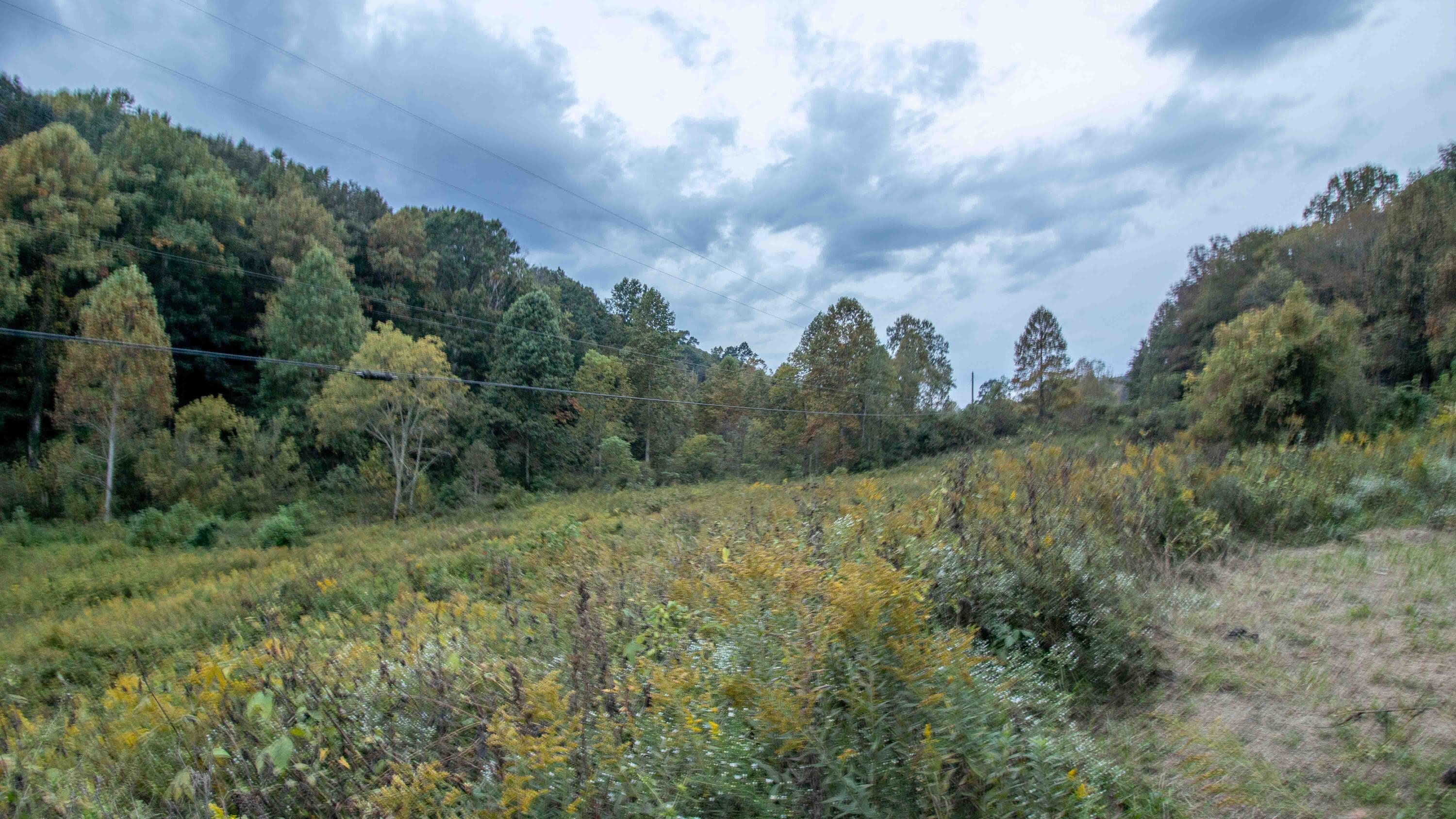 377 Butcher Valley Road Property Photo 17