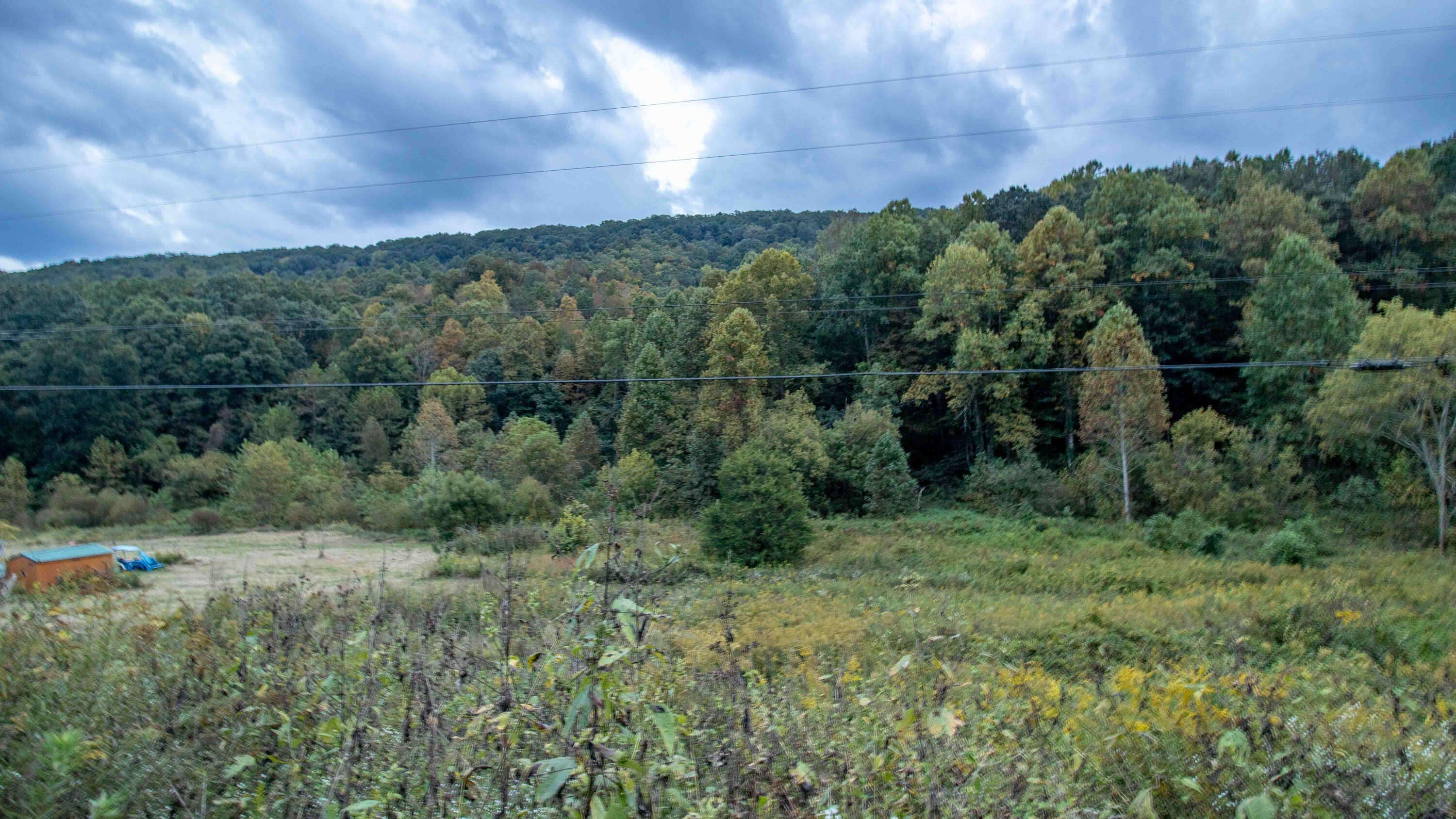 377 Butcher Valley Road Property Photo 18