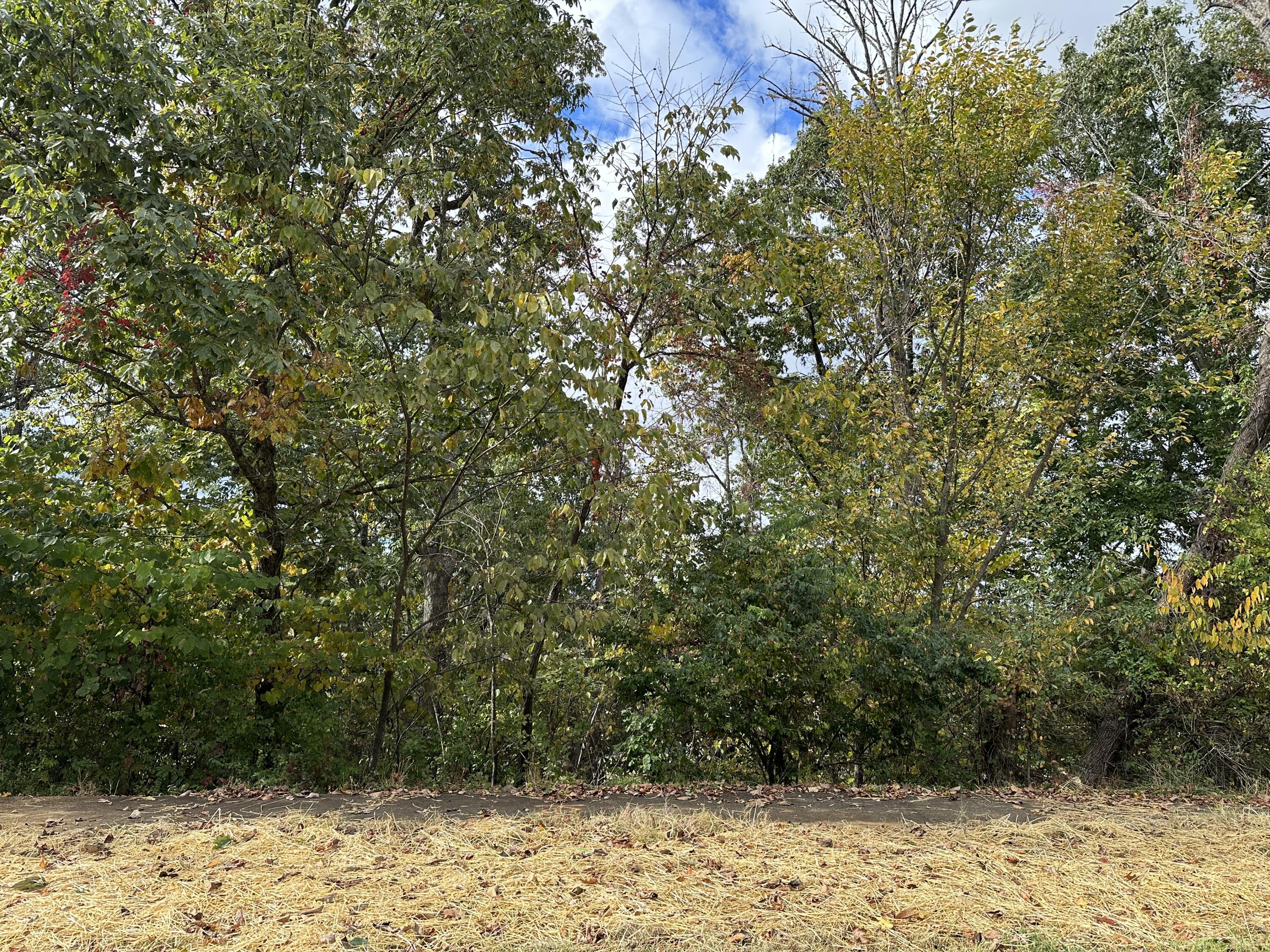 1462 Becky Drive Property Photo